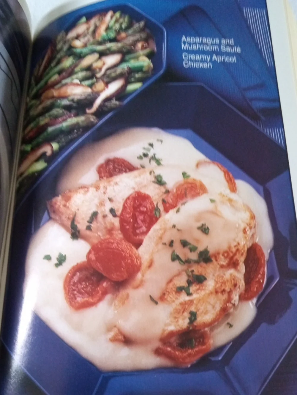 Cookbook Weight Watchers Quick Success Program 300+ Recipes